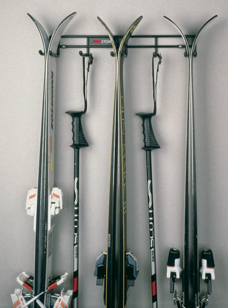 Quad Ski rack